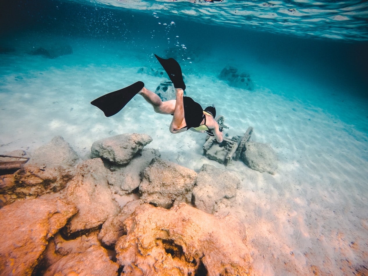 Svømmefødder og snorkling