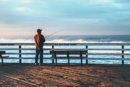 Fiskegrej, der hiver fisk i land